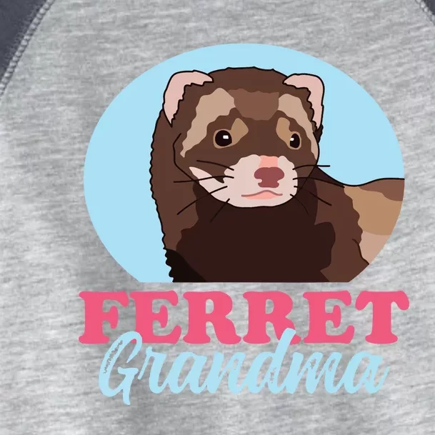 Ferret Grandma Ferrets Owner Ferret Toddler Fine Jersey T-Shirt