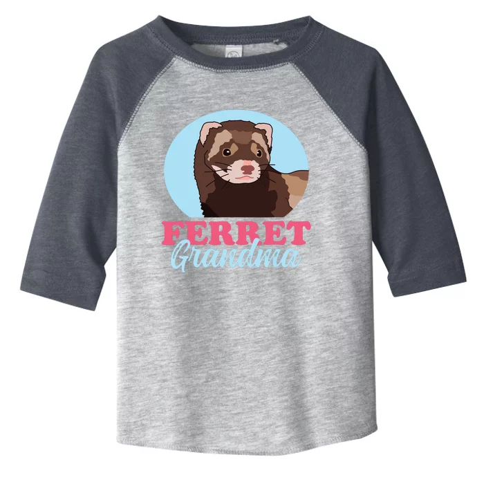 Ferret Grandma Ferrets Owner Ferret Toddler Fine Jersey T-Shirt