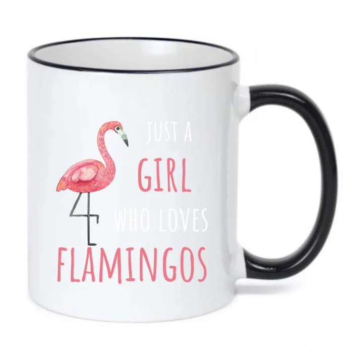 Flamingo Great Gift/ Gift Who Loves Flamingos Gift Black Color Changing Mug