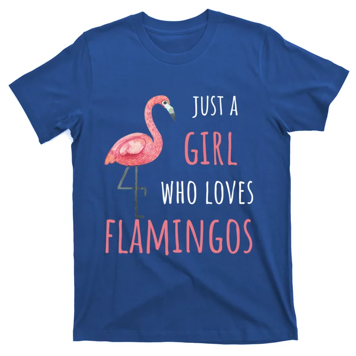 Flamingo Great Gift/ Gift Who Loves Flamingos Gift T-Shirt