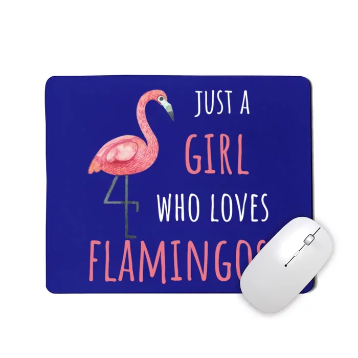 Flamingo Great Gift/ Gift Who Loves Flamingos Gift Mousepad