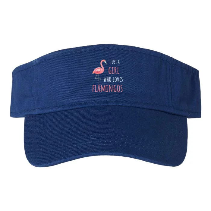 Flamingo Great Gift/ Gift Who Loves Flamingos Gift Valucap Bio-Washed Visor