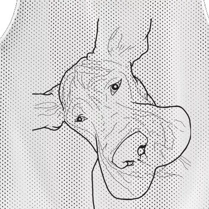 Funny Goofy Great Dane Face Mesh Reversible Basketball Jersey Tank