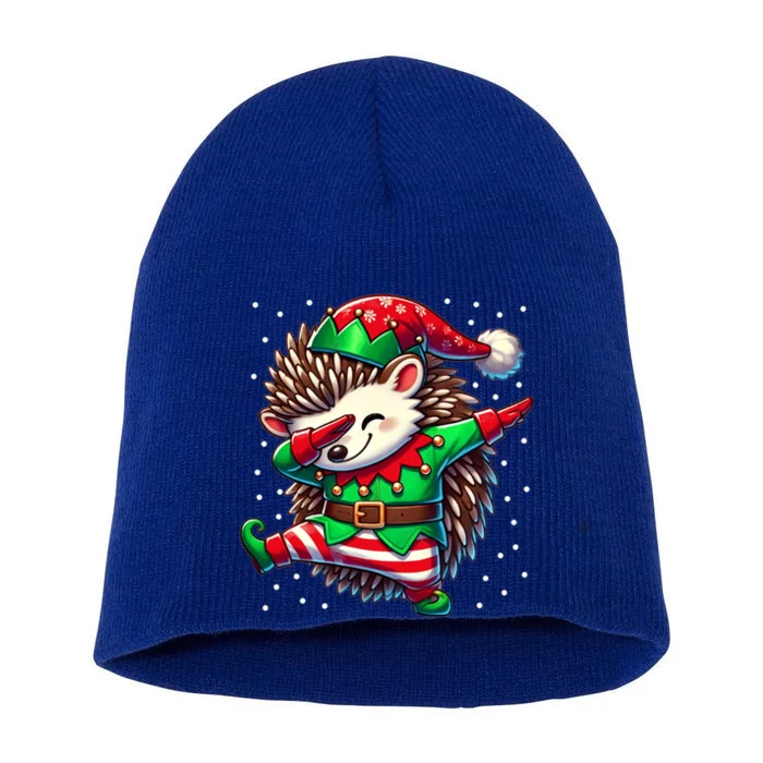 Funny Gift Hedgehog Lover Christmas Hedgehog Elf Short Acrylic Beanie