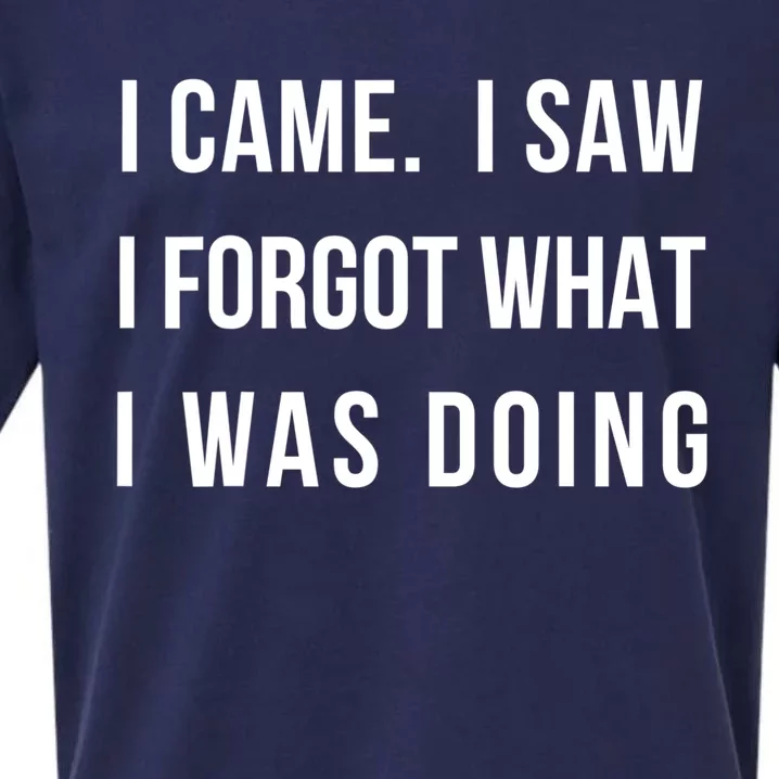 Funny Gift I Came I Saw I Forgot What I Was Doing Sarcastic Gift Sueded Cloud Jersey T-Shirt