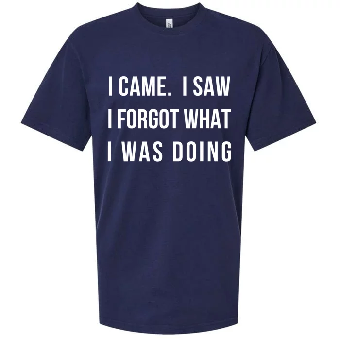 Funny Gift I Came I Saw I Forgot What I Was Doing Sarcastic Gift Sueded Cloud Jersey T-Shirt