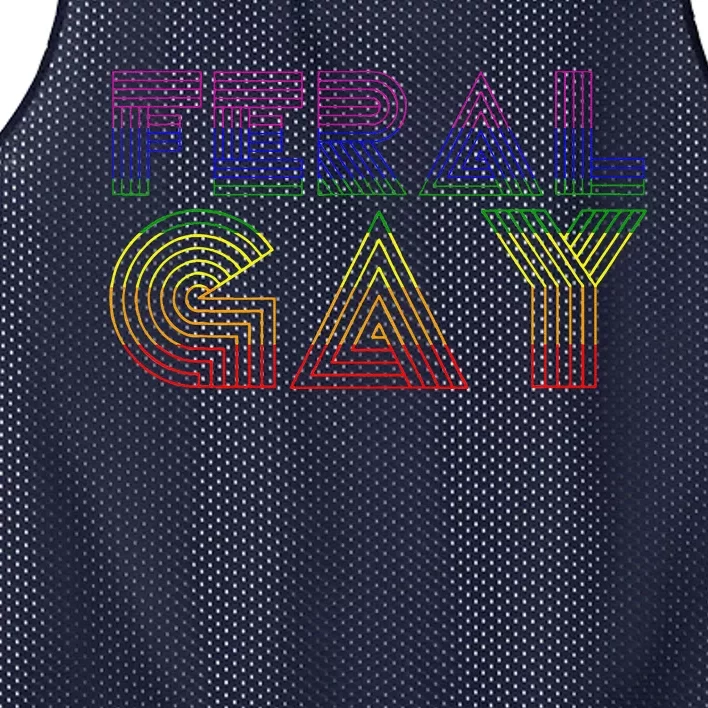 Feral Gay Lgbt Gay Bi Pan Transg Pride Meme Rainbow Flag Mesh Reversible Basketball Jersey Tank