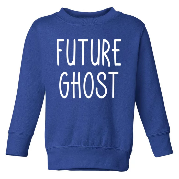 Future Ghost Meaningful Gift Toddler Sweatshirt