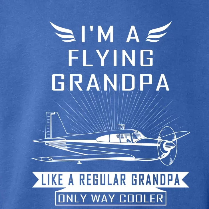 Flying Grandpa Meaningful Gift Pilot Gift Pilot Humor Tee Gift Toddler Hoodie