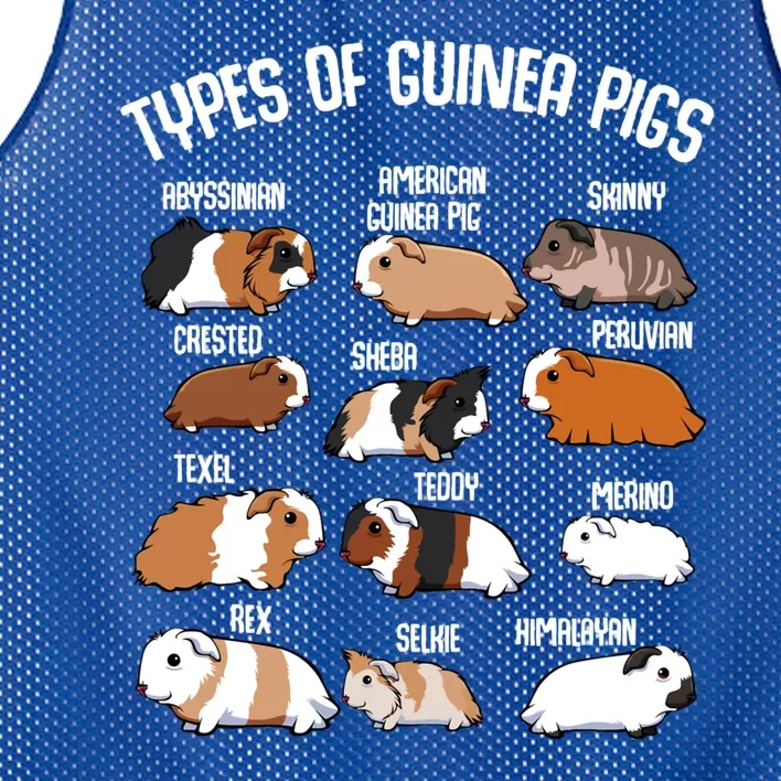 Funny Guinea Pigs Household Pet Animal Rodent Fluffy Cute Mesh Reversible Basketball Jersey Tank