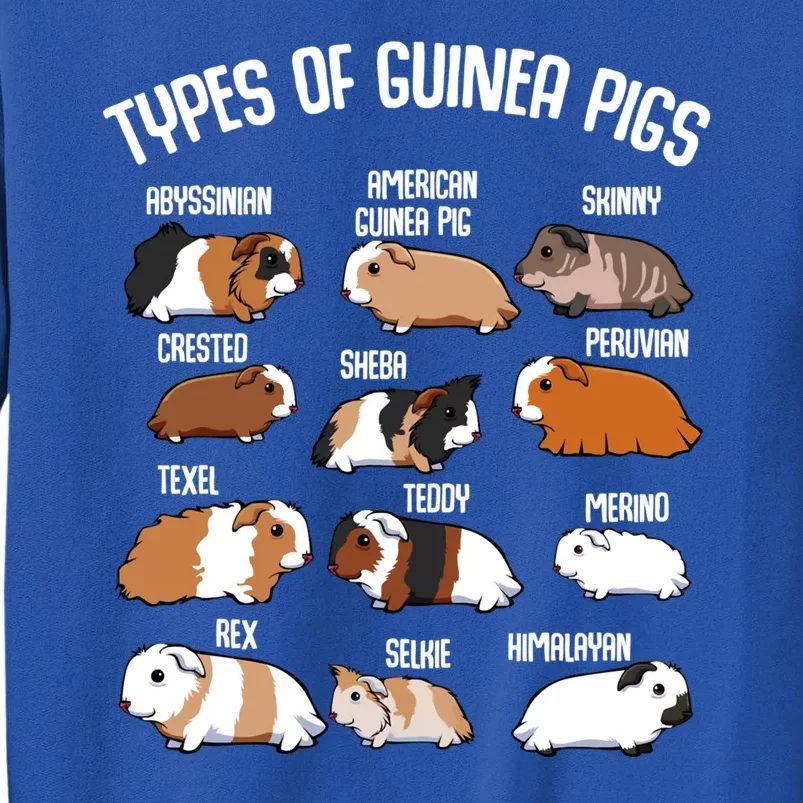 Funny Guinea Pigs Household Pet Animal Rodent Fluffy Cute Tall Sweatshirt