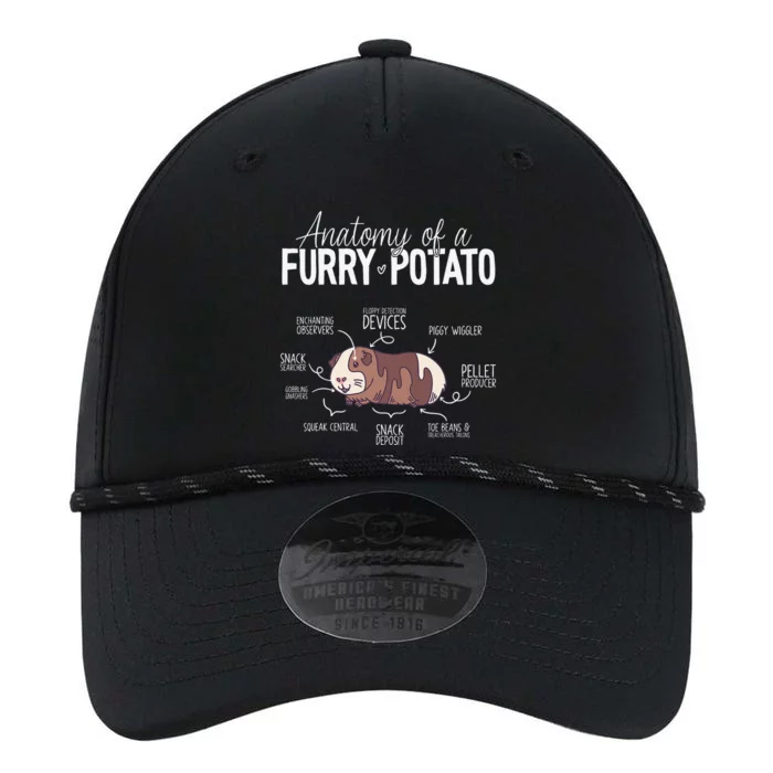 Funny Guinea Pig Guinea Pig Anatomy Guinea Pig Performance The Dyno Cap