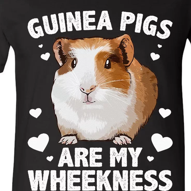 Funny Guinea Pig Design For Men Women Kids Guinea Pig Lovers V-Neck T-Shirt