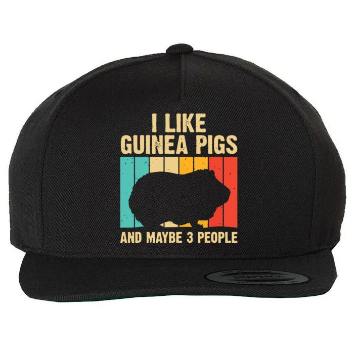 Funny Guinea Pig Design For Men Women Kids Guinea Pig Lovers Wool Snapback Cap