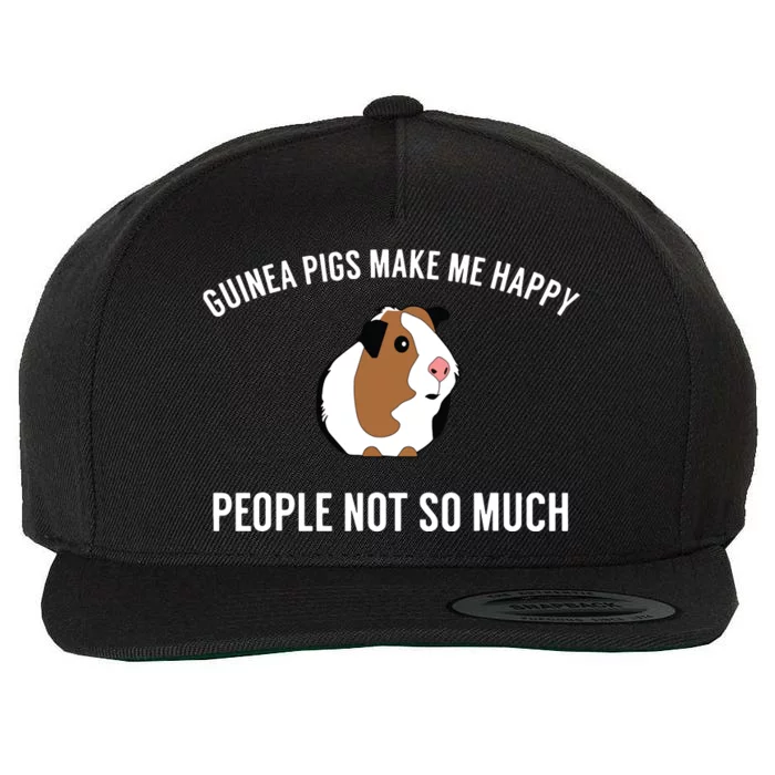 Funny Guinea Pig Gift Guinea Pig Tee Wool Snapback Cap