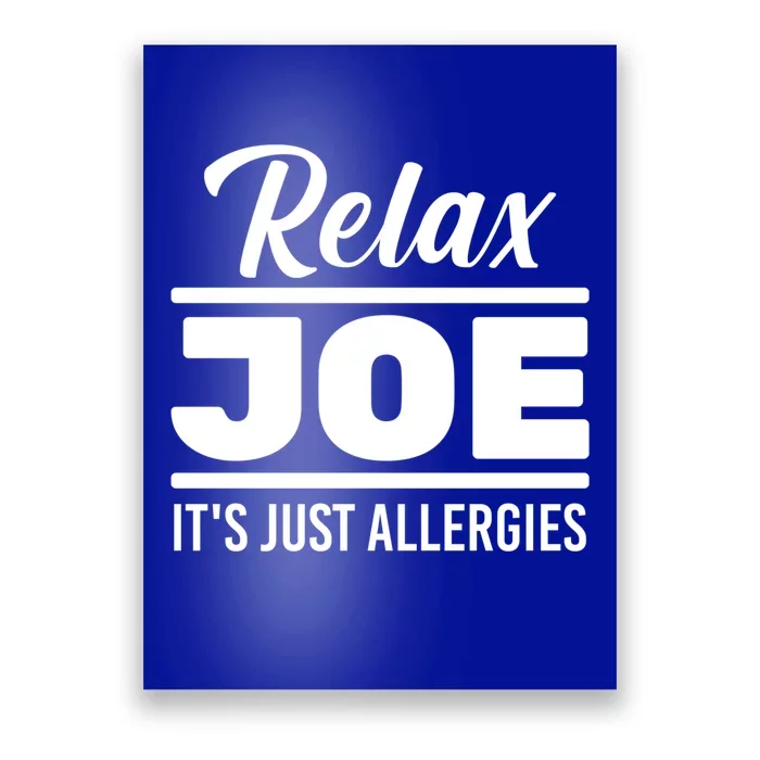 Funny Gift Relax Joe It's Just Allergies Gift Sarcastic Jokes Great Gift Poster