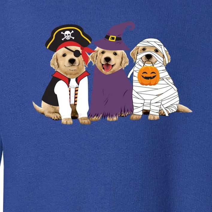 Funny Golden Retriever Pirate Witch Mummy Halloween Costume Gift Toddler Sweatshirt