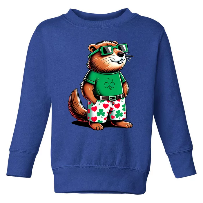 Funny Groundhog St. PatrickS Day Solar ValentineS Day Toddler Sweatshirt