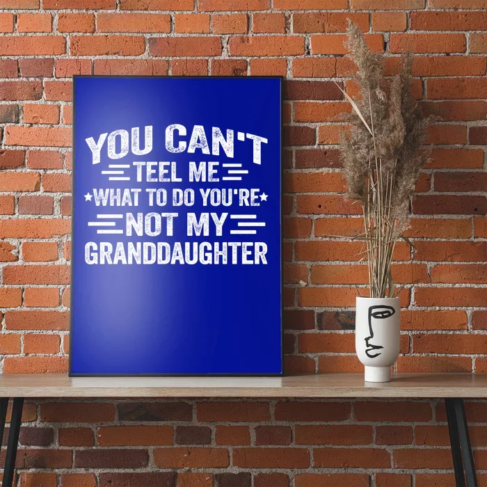 Funny Granddaughter Sarcastic YouRe Not My Granddaughter Gift Poster