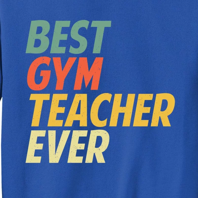 Funny Gym Teacher Art Pe Teacher Appreciation Gift Sweatshirt