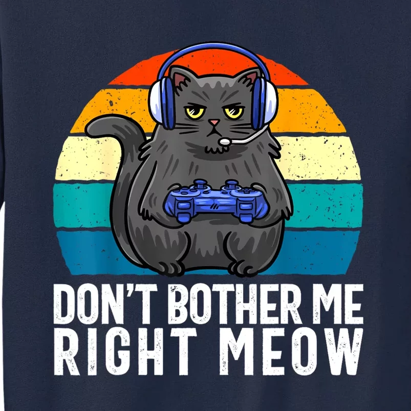 Funny Gaming Video Game Lover Gaming Cat Gaming Tall Sweatshirt