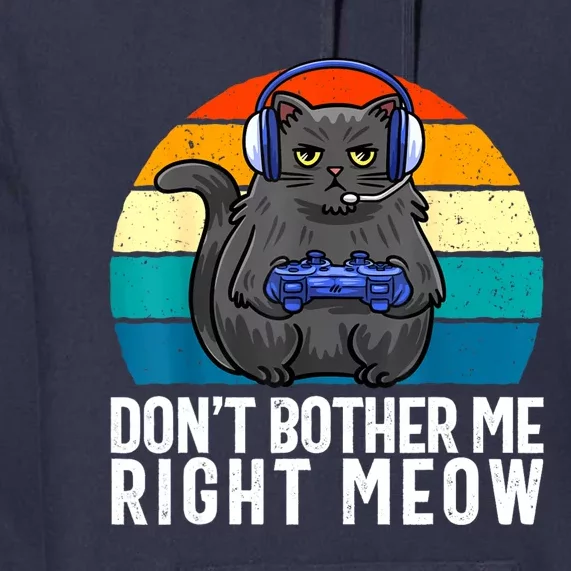 Funny Gaming Video Game Lover Gaming Cat Gaming Premium Hoodie