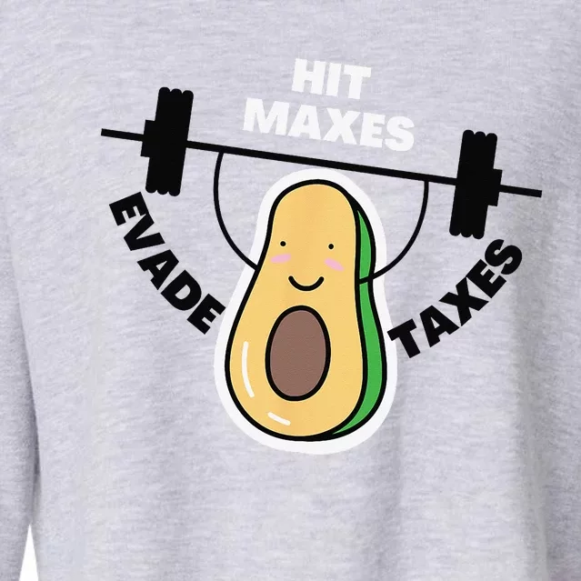 Funny Gym Weightlifting Hit Maxes Evade Taxes Workout Cropped Pullover Crew