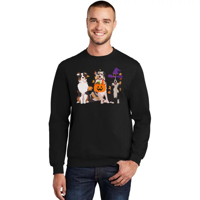 Funny Ghost Witch Australian Shepherd Halloween Dog Mom Gift Sweatshirt