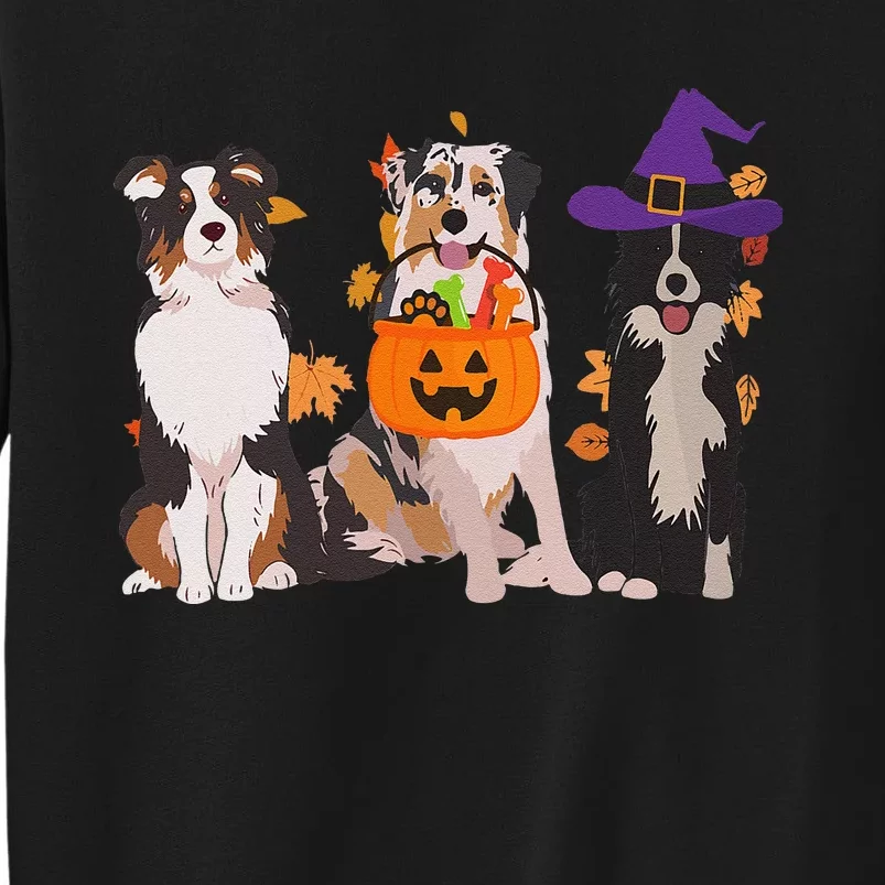 Funny Ghost Witch Australian Shepherd Halloween Dog Mom Gift Sweatshirt