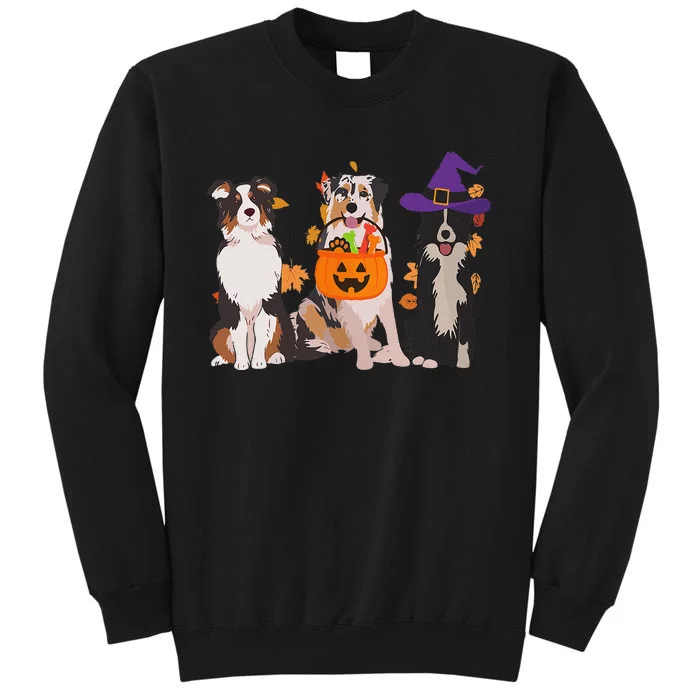 Funny Ghost Witch Australian Shepherd Halloween Dog Mom Gift Tall Sweatshirt