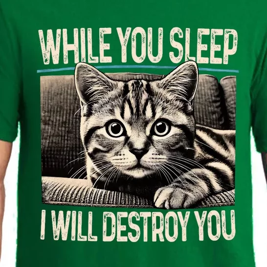 Funny Graphic While You Sleep I Will Destroy You Cat Pajama Set