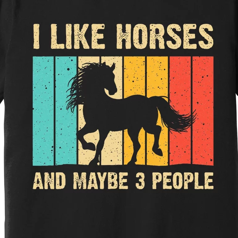 Funny Horse Art Horse Lover Women Introvert Premium T-Shirt