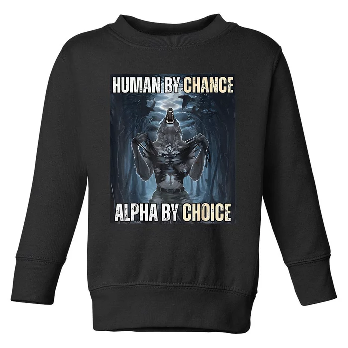 Funny Human By Chance Alpha By Choice Gift Toddler Sweatshirt