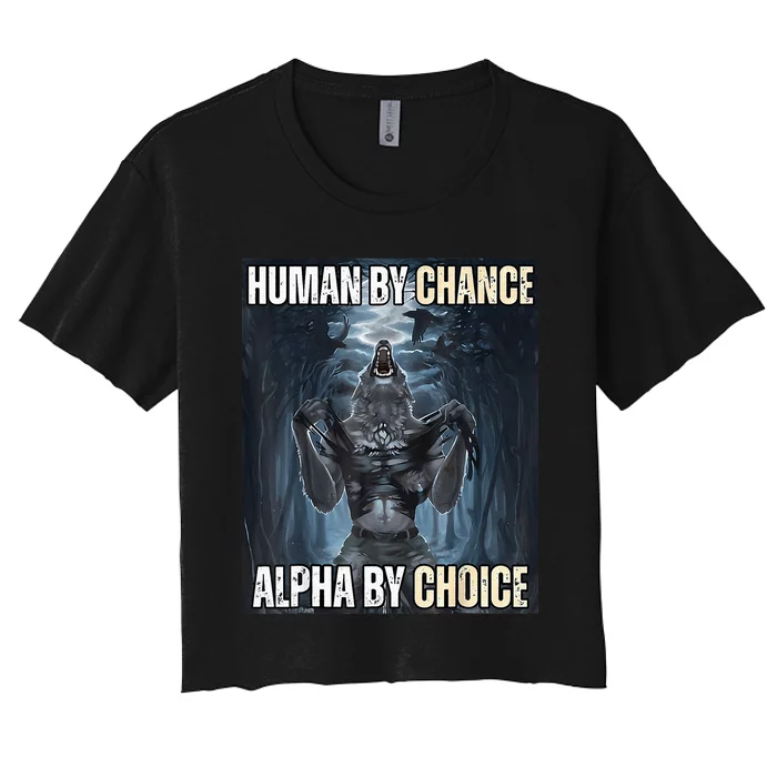 Funny Human By Chance Alpha By Choice Women's Crop Top Tee