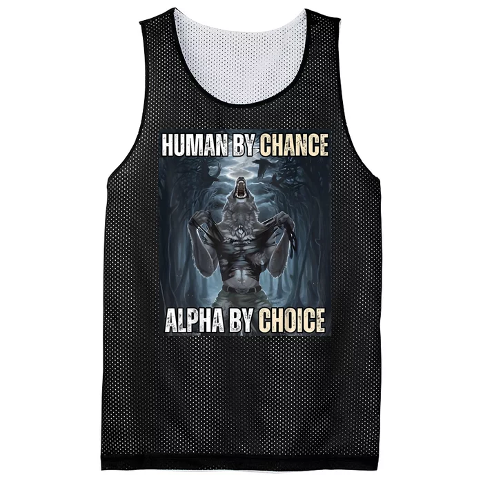 Funny Human By Chance Alpha By Choice Mesh Reversible Basketball Jersey Tank