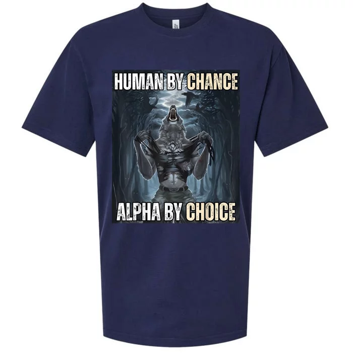 Funny Human By Chance Alpha By Choice Sueded Cloud Jersey T-Shirt