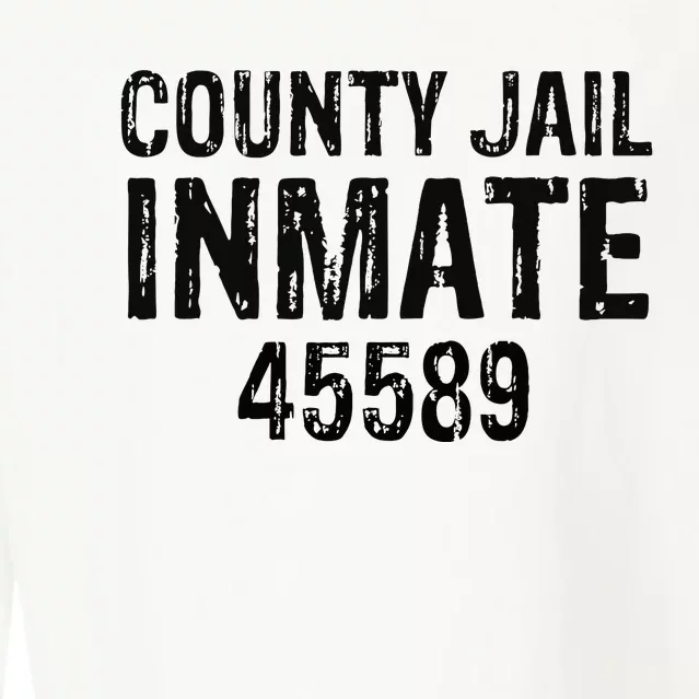 funyn Halloween County Jail Inmate Prisoner Costume Party Cropped Pullover Crew