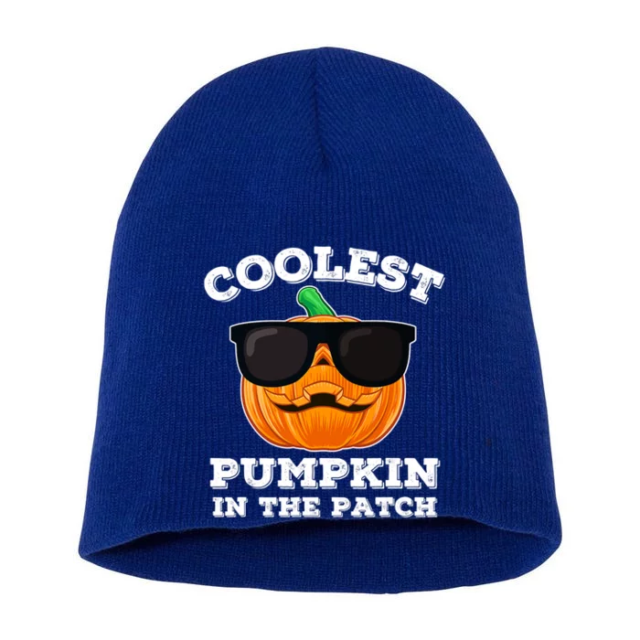 Funny Halloween Coolest Pumpkin In The Patch Gift Short Acrylic Beanie