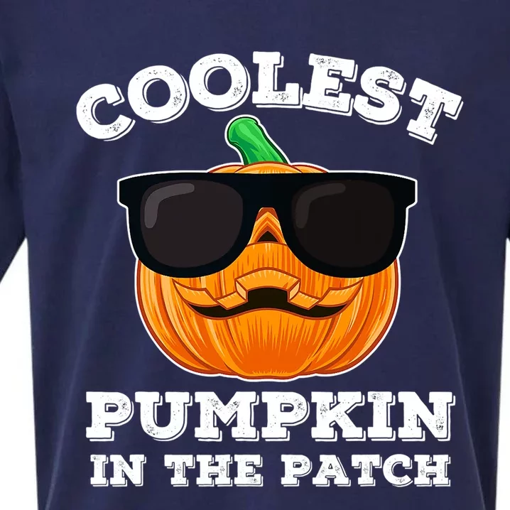 Funny Halloween Coolest Pumpkin In The Patch Gift Sueded Cloud Jersey T-Shirt