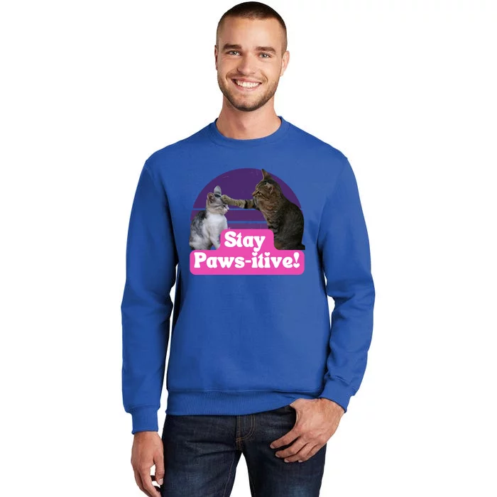 Funny Hilarious Cat Meme Kitty Feline Lover Stay Pawsitive Gift Sweatshirt