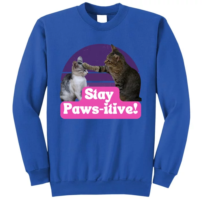 Funny Hilarious Cat Meme Kitty Feline Lover Stay Pawsitive Gift Sweatshirt