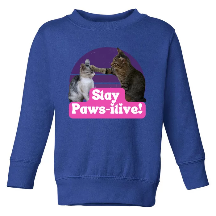 Funny Hilarious Cat Meme Kitty Feline Lover Stay Pawsitive Gift Toddler Sweatshirt