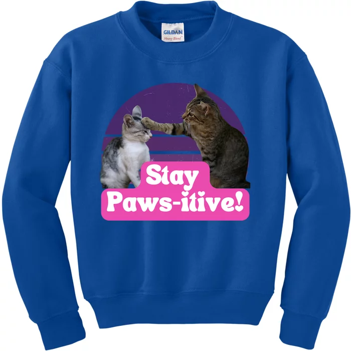 Funny Hilarious Cat Meme Kitty Feline Lover Stay Pawsitive Gift Kids Sweatshirt