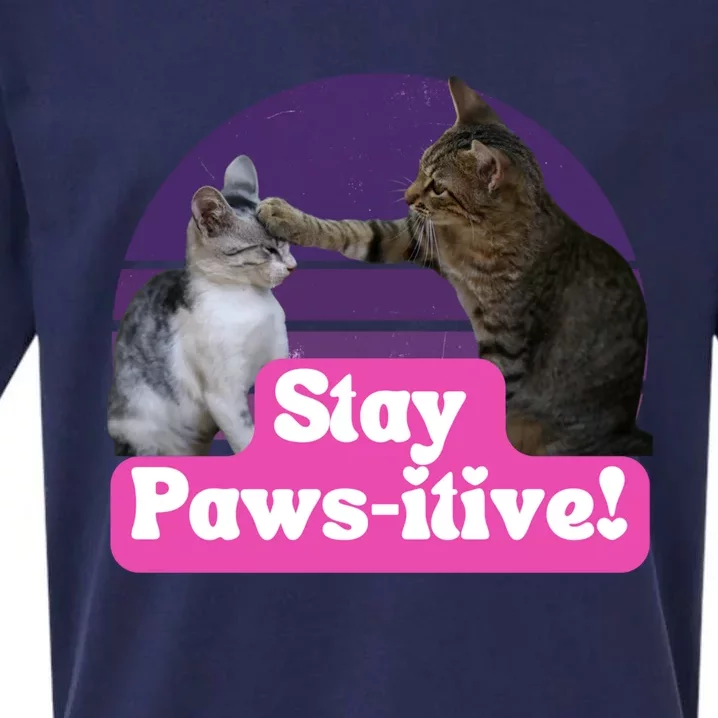 Funny Hilarious Cat Meme Kitty Feline Lover Stay Pawsitive Gift Sueded Cloud Jersey T-Shirt