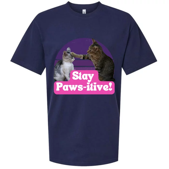 Funny Hilarious Cat Meme Kitty Feline Lover Stay Pawsitive Gift Sueded Cloud Jersey T-Shirt