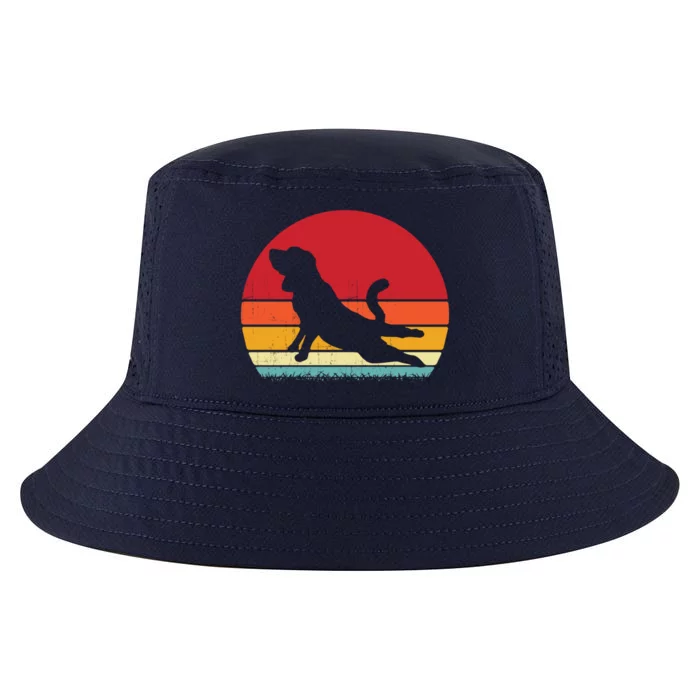 Funny Hound Dogs Owner Beagle Yoga Pose Yoga Lovers Gift Cool Comfort Performance Bucket Hat