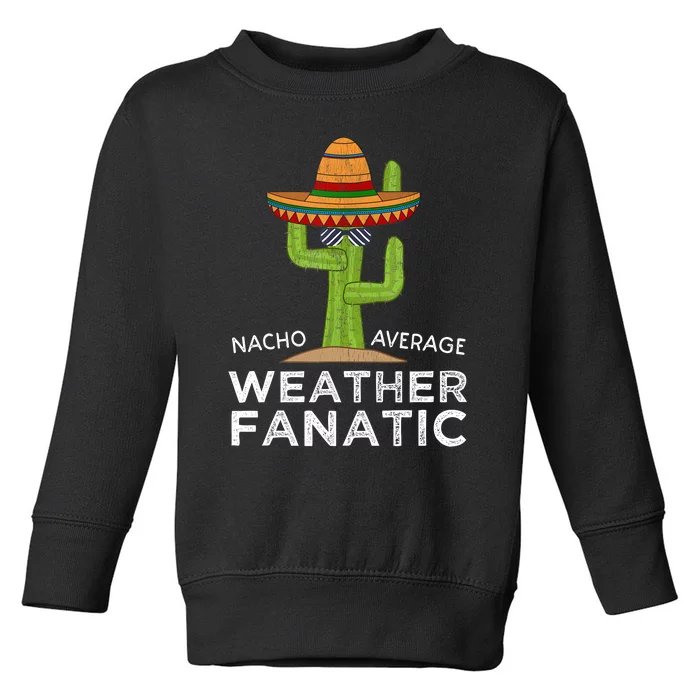 Fun Hilarious Funny Meteorology Weather Lover Toddler Sweatshirt