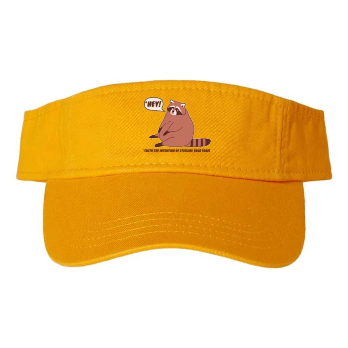 Funny Hey Fat Raccoon Stealing Your Food Valucap Bio-Washed Visor