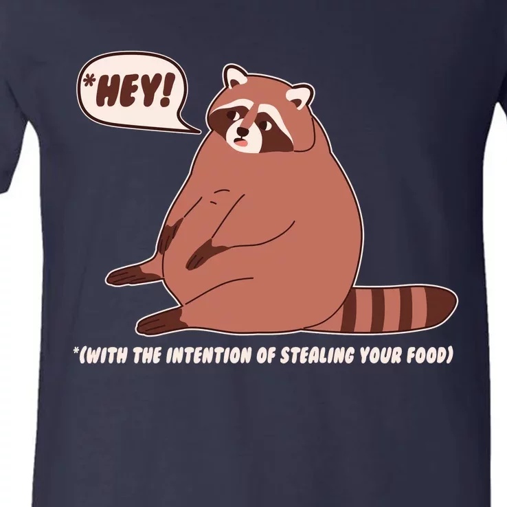 Funny Hey Fat Raccoon Stealing Your Food V-Neck T-Shirt