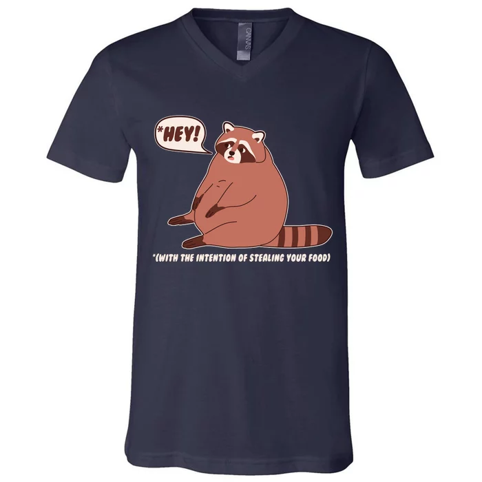 Funny Hey Fat Raccoon Stealing Your Food V-Neck T-Shirt